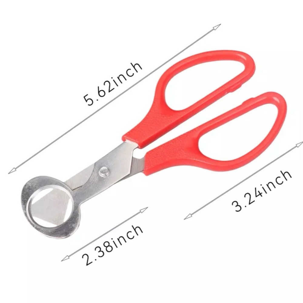 Quail eggs Scissors - Picture 7 of 7
